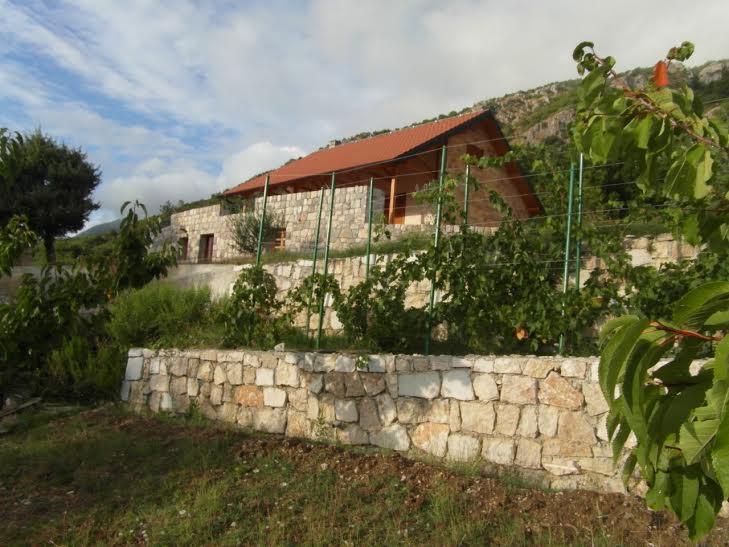 Villa Magnolia Radanovici Exterior photo